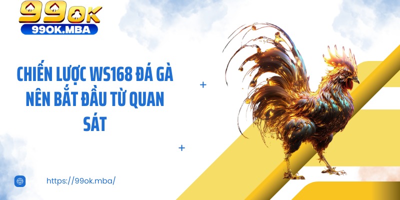 Chiến lược Ws168 Đá Gà nên bắt đầu từ quan sát