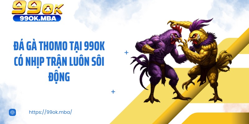Đá gà thomo tại 99OK có nhịp trận luôn sôi động